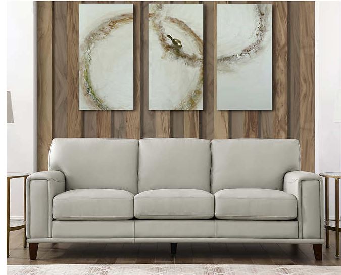 Jensen 2-piece Leather Set - Sofa, Loveseat