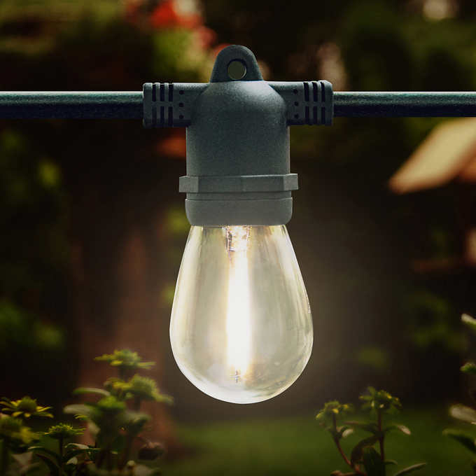 Sunforce 35' Solar String Lights with Remote Control 1600334